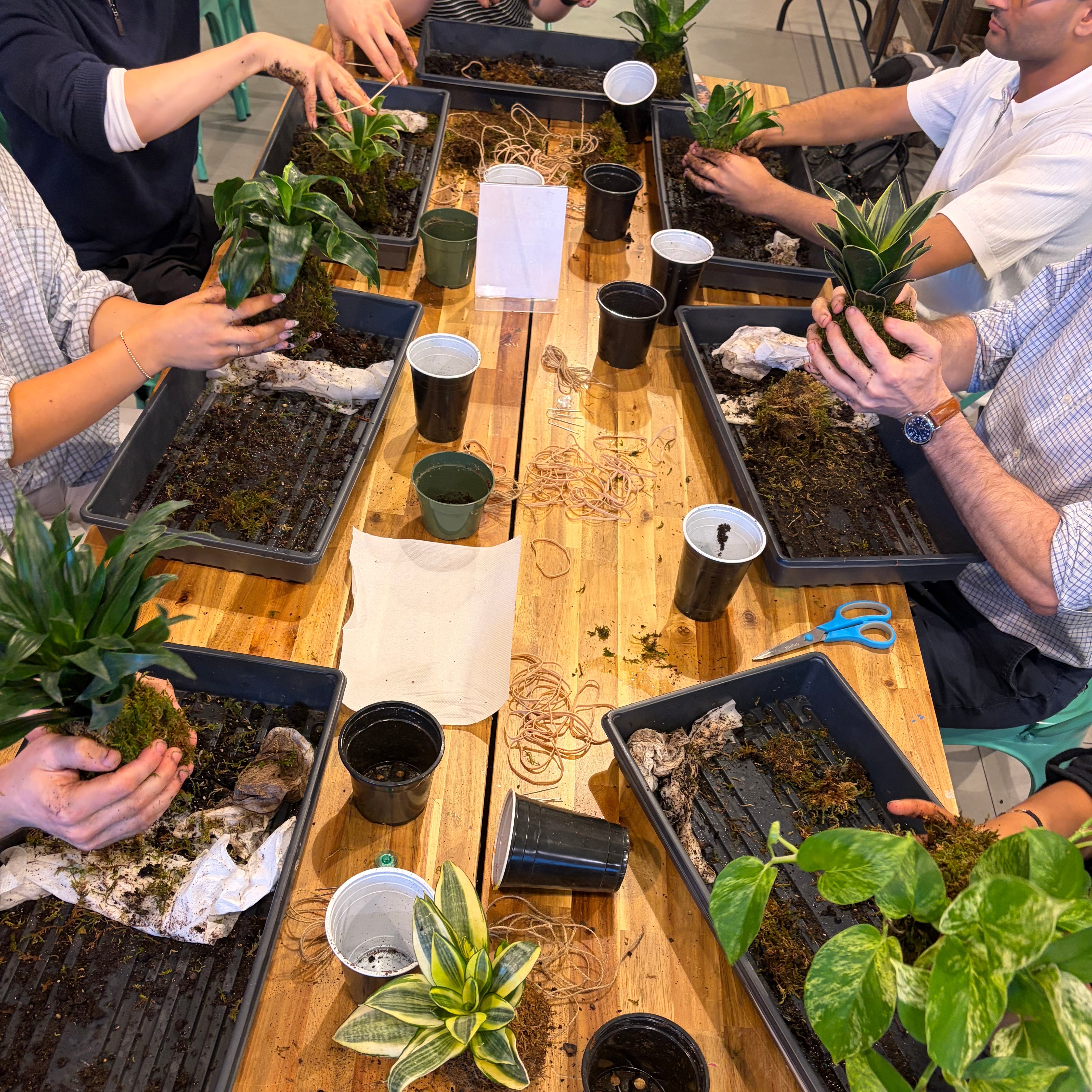 Kokedama Workshop (Burlington)