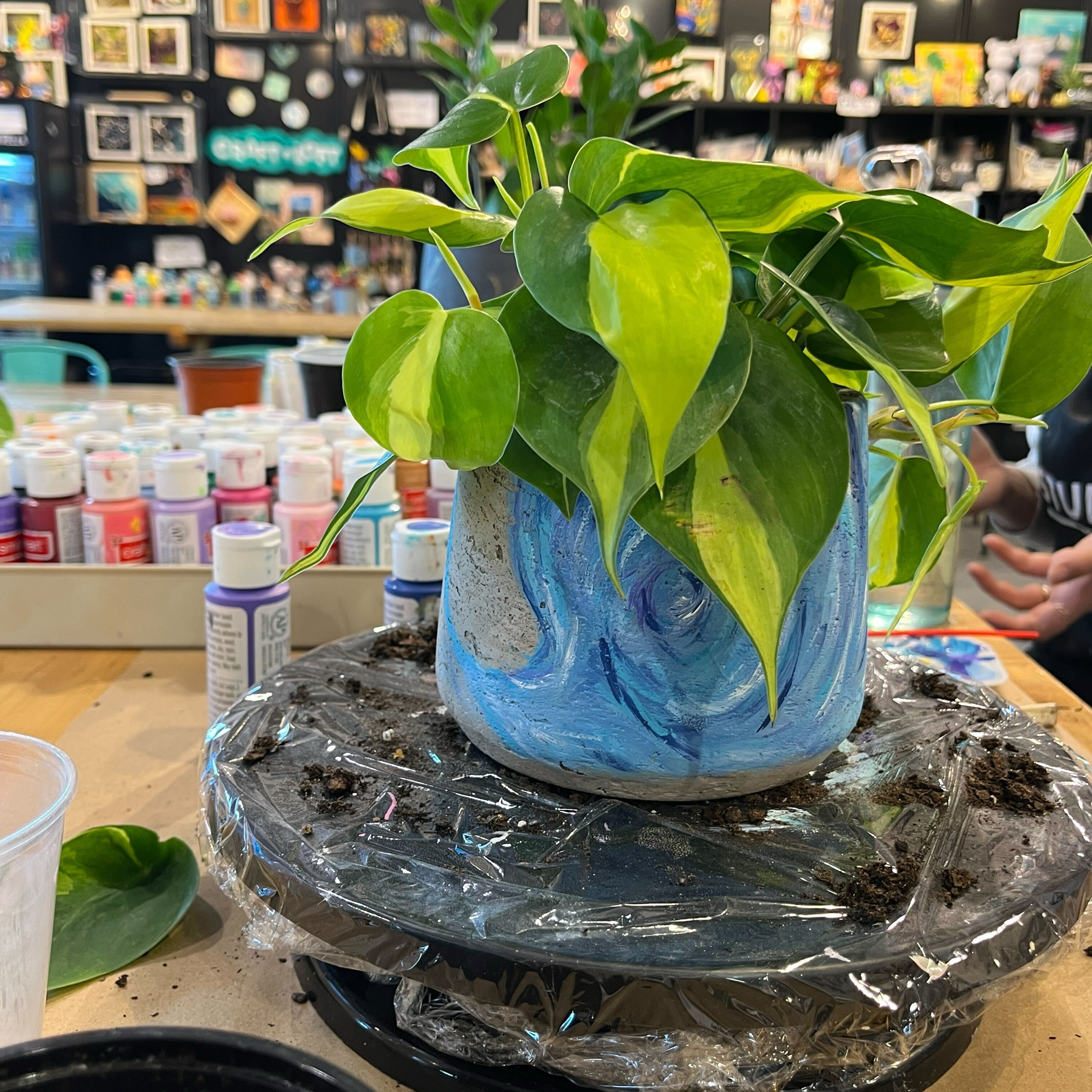 Paint and Plant Workshop