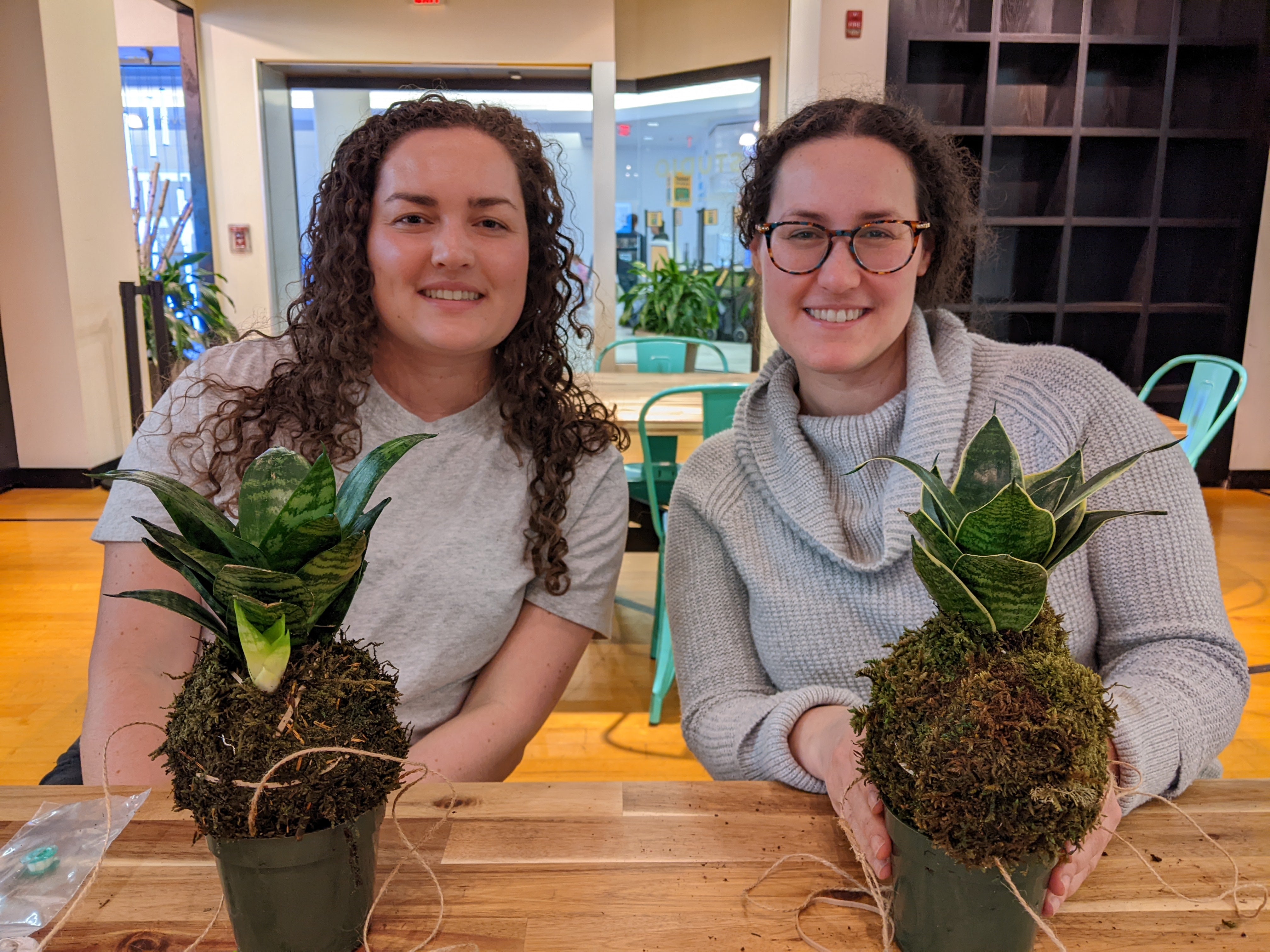 Kokedama Workshop (Cambridge)