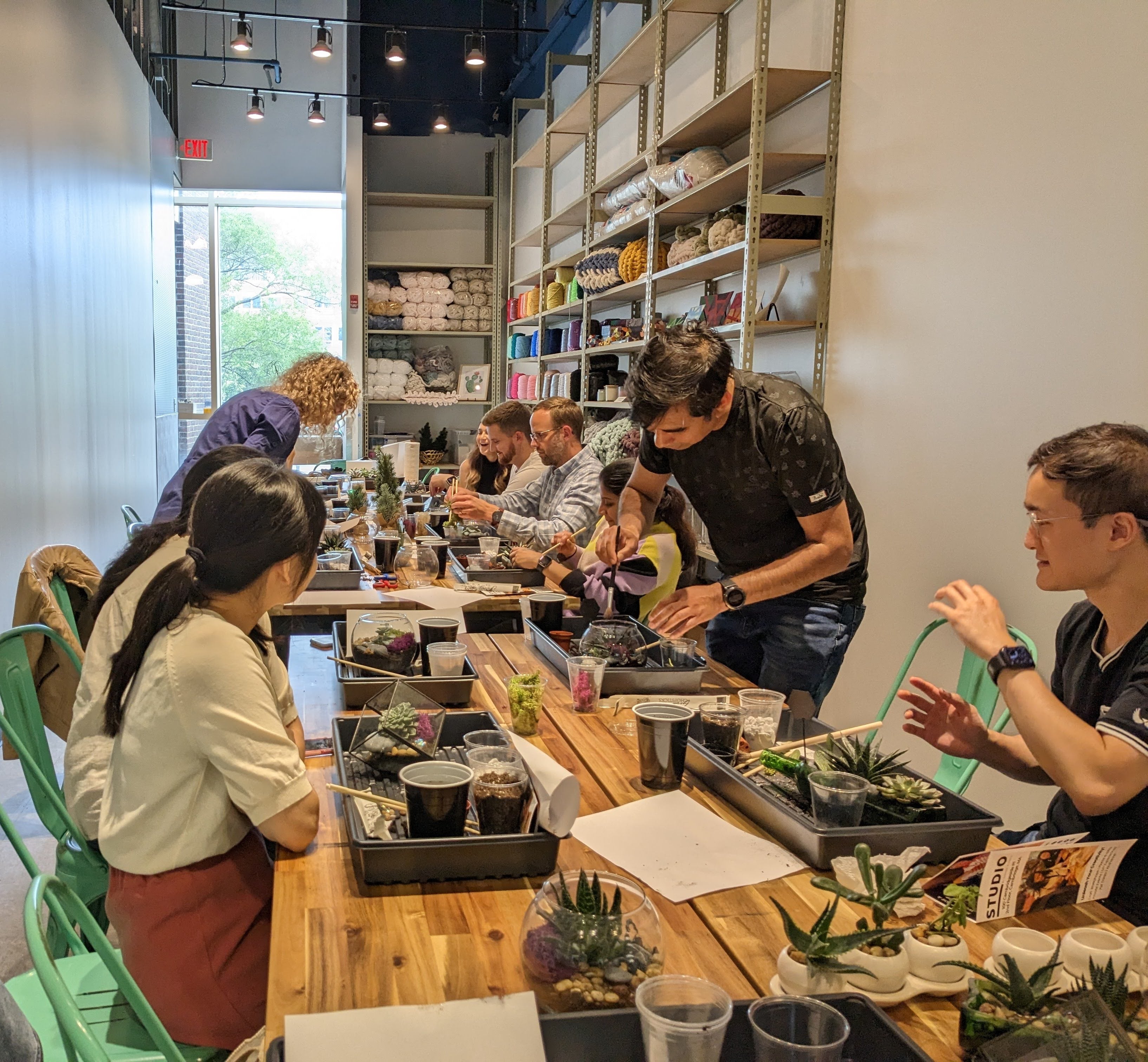 Succulent Planting Workshop (Cambridge)