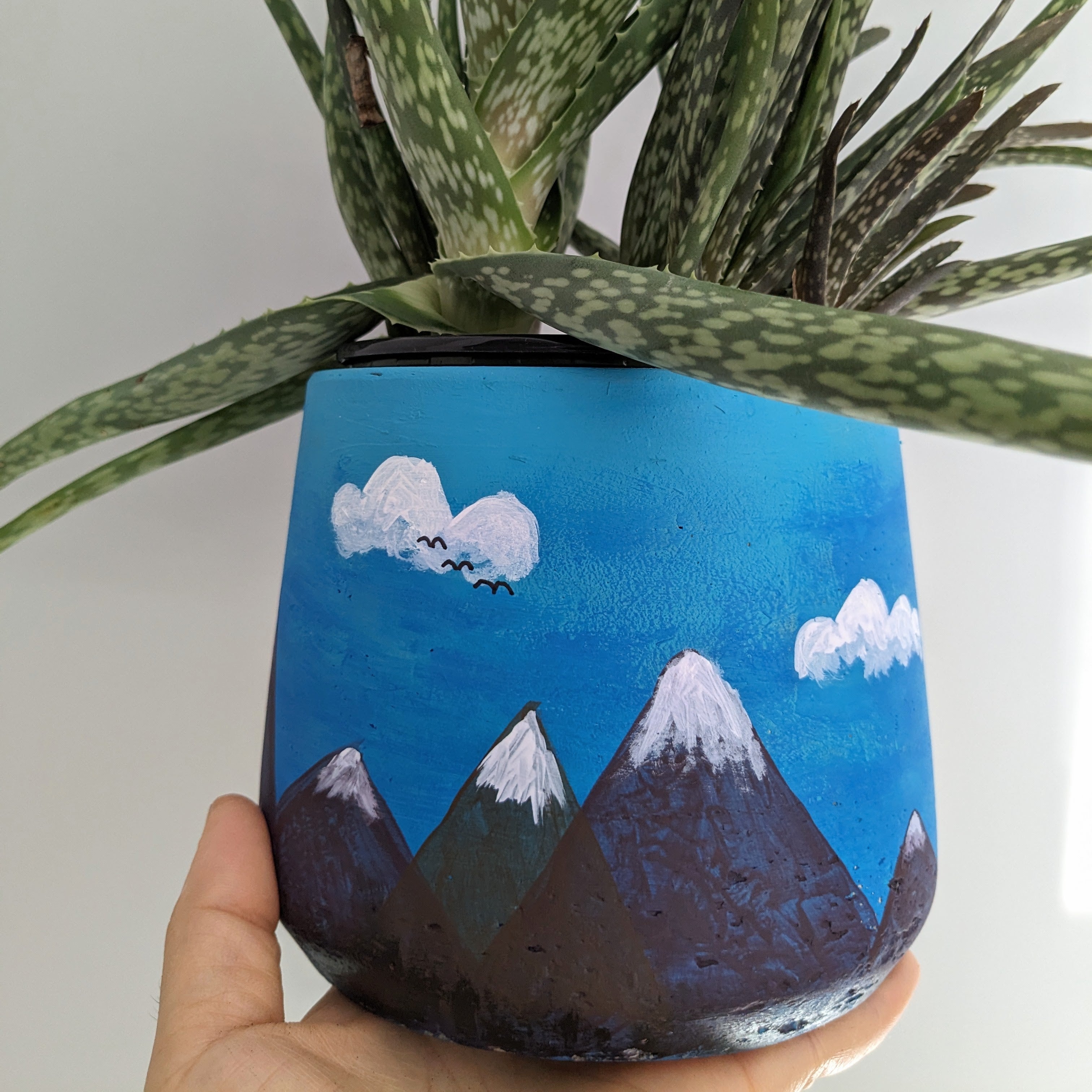 Paint and Plant Workshop