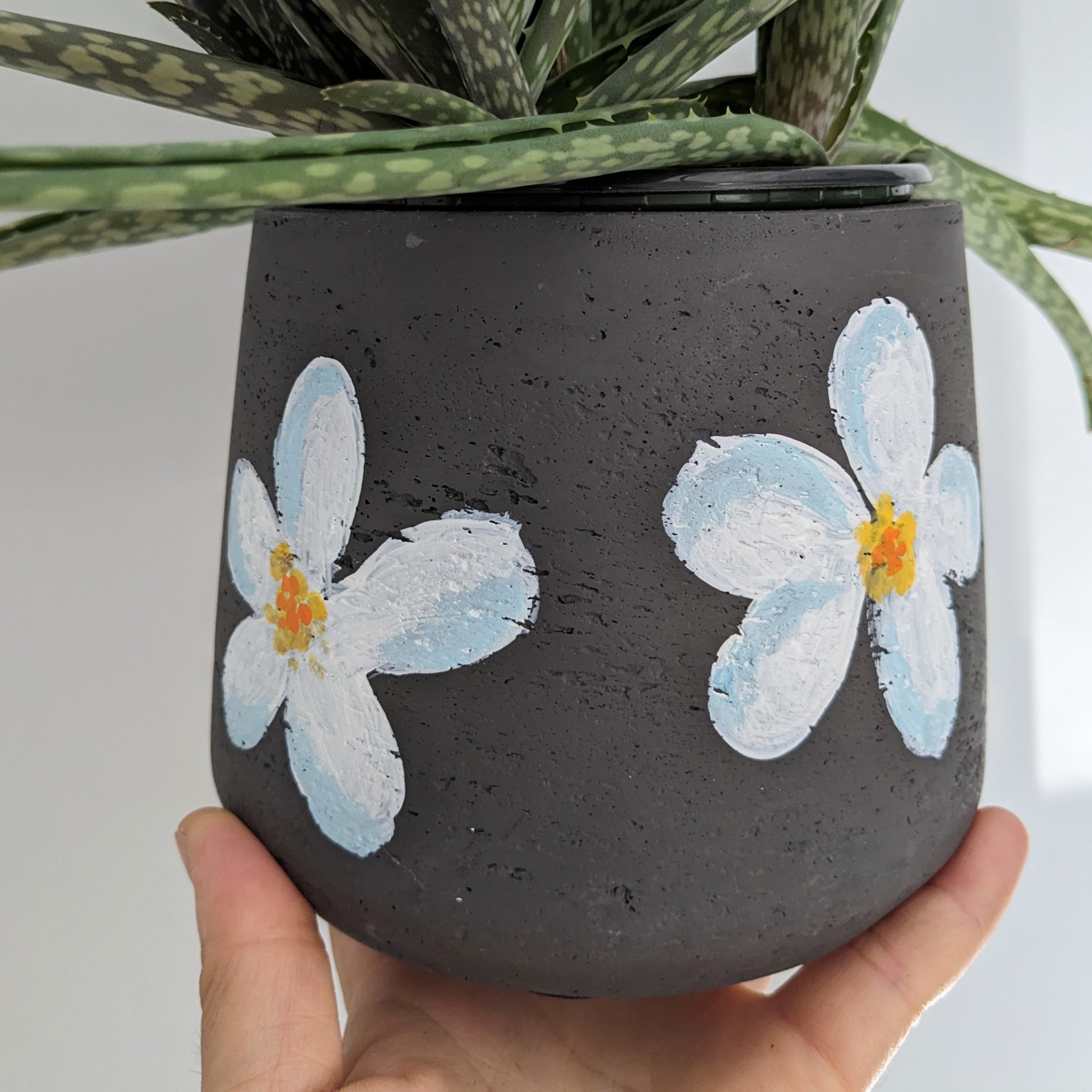 Paint and Plant Workshop