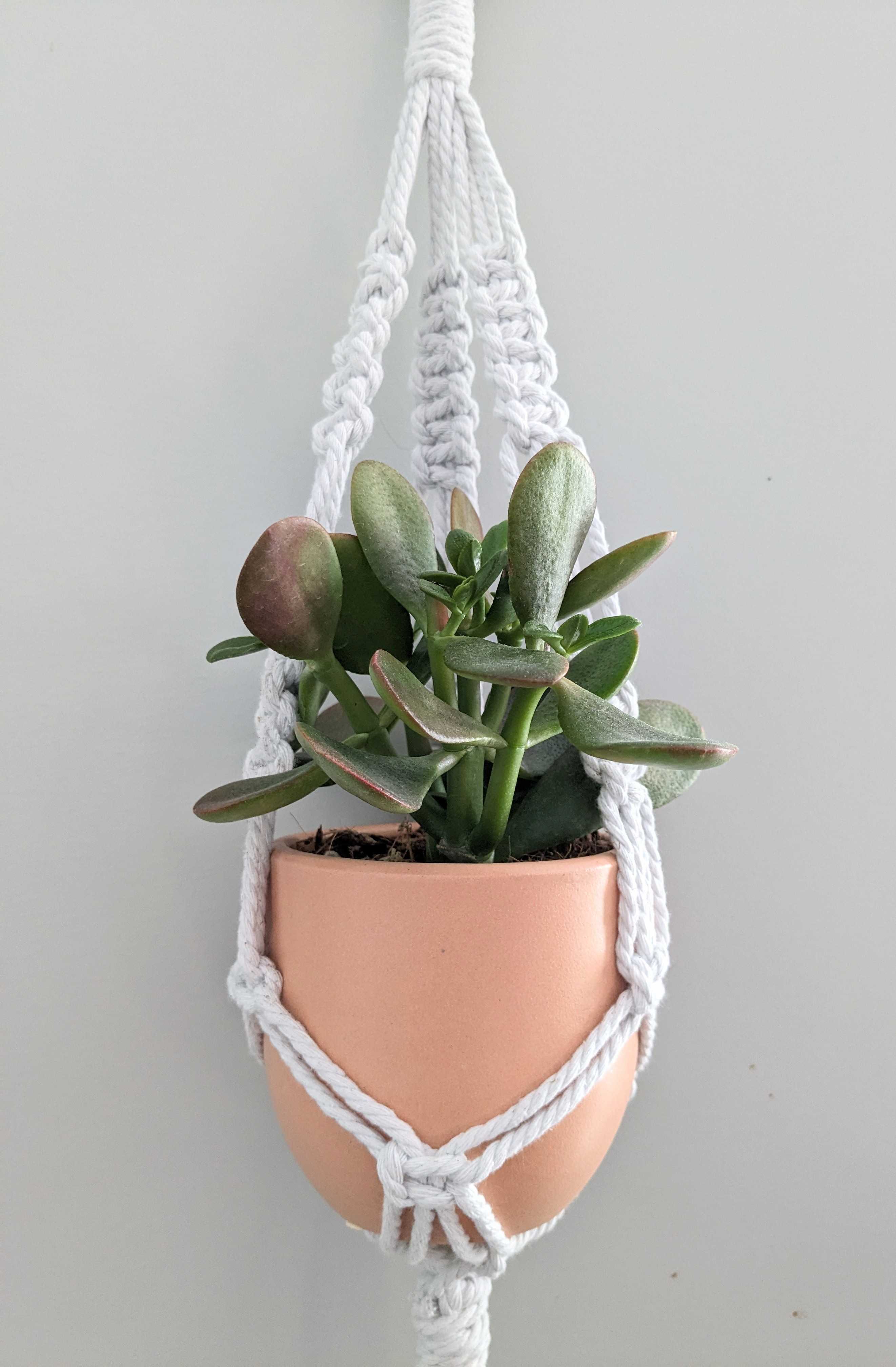 Macramé Plant Hanger (Burlington)