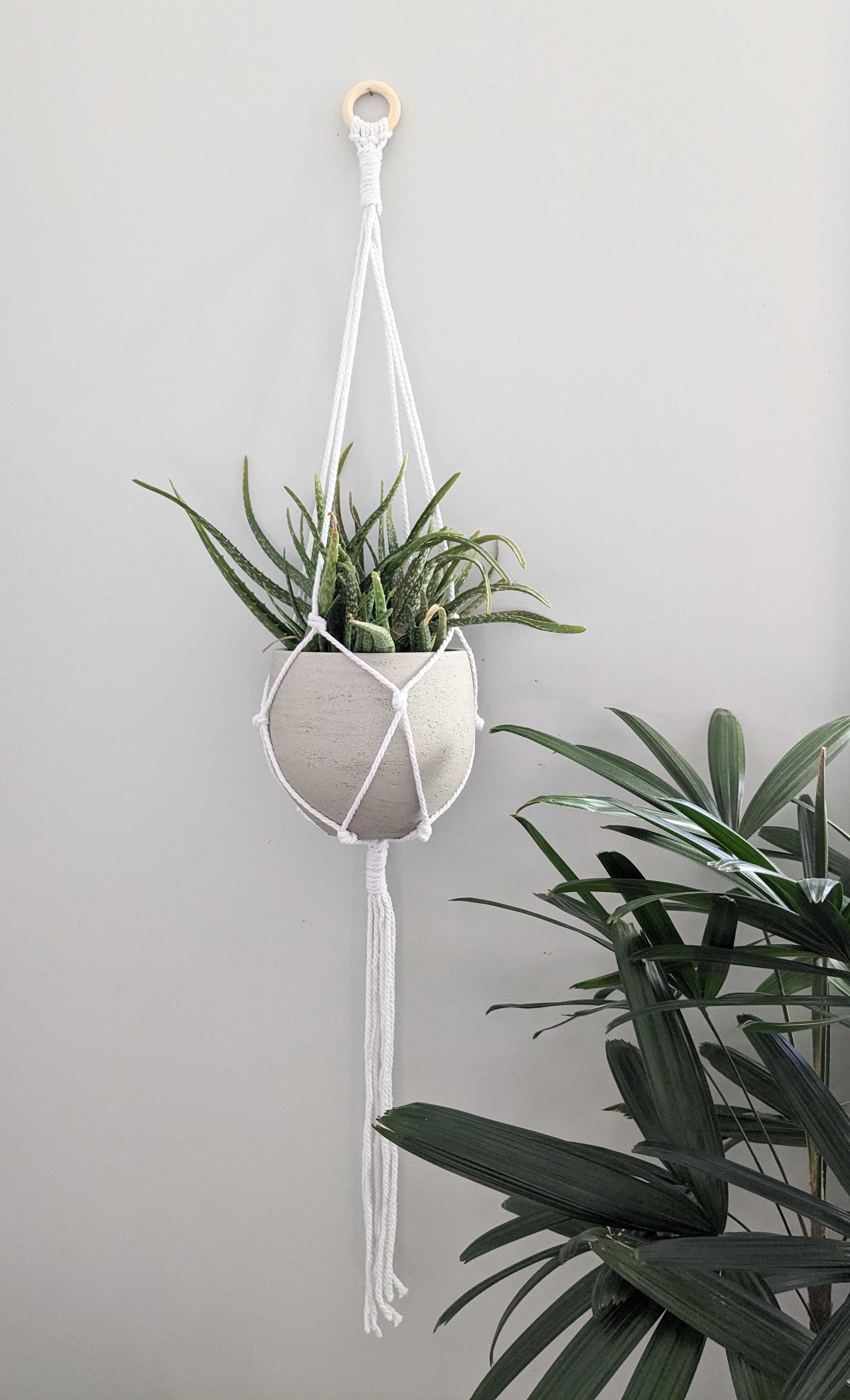 Macramé Plant Hanger (Burlington)