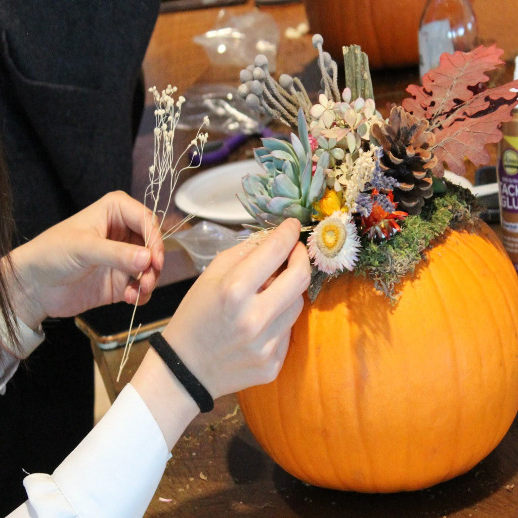 Pumpkin Succulent Centerpieces Workshop (Cambridge)