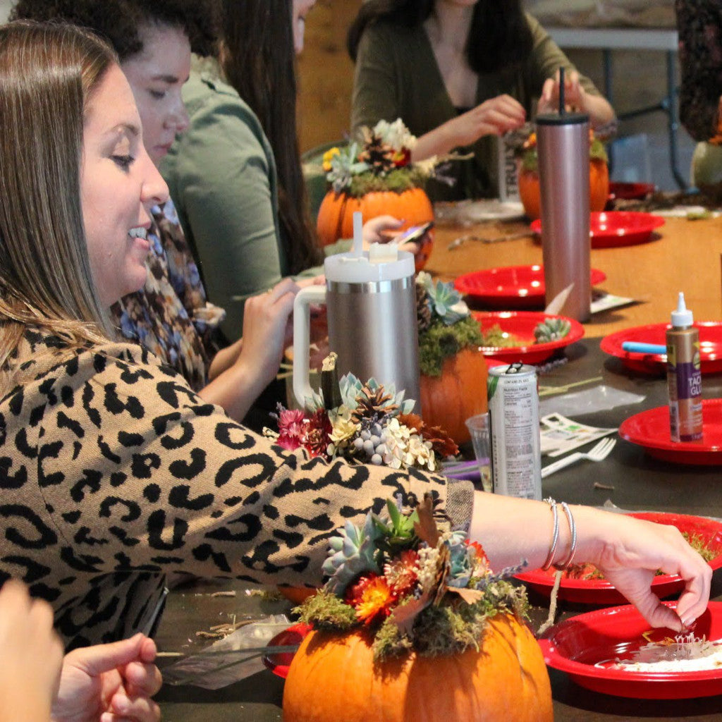 Pumpkin Succulent Centerpieces Workshop (Cambridge)