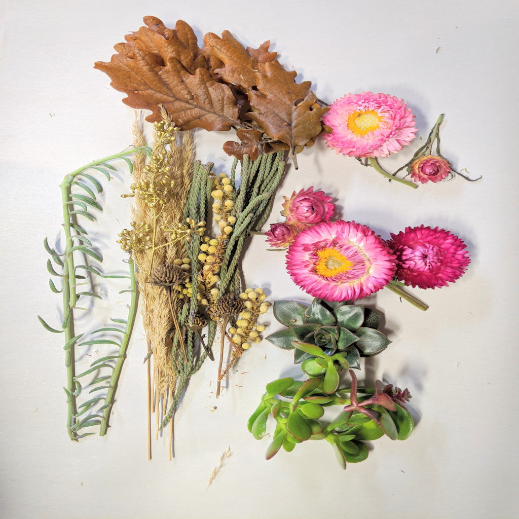 Pumpkin Succulent Centerpieces Workshop (Cambridge)