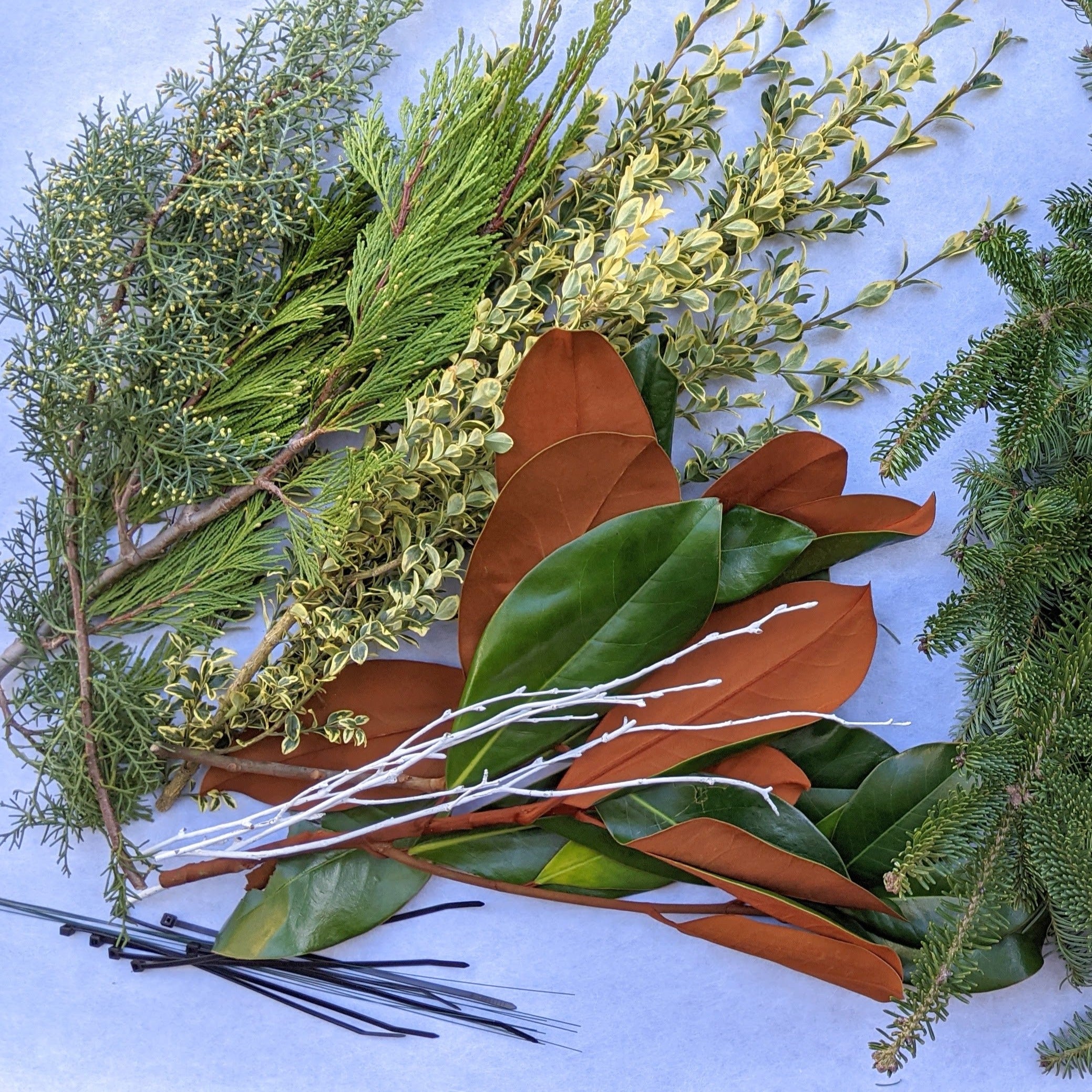 Evergreen Winter Wreath Making (Cambridge)