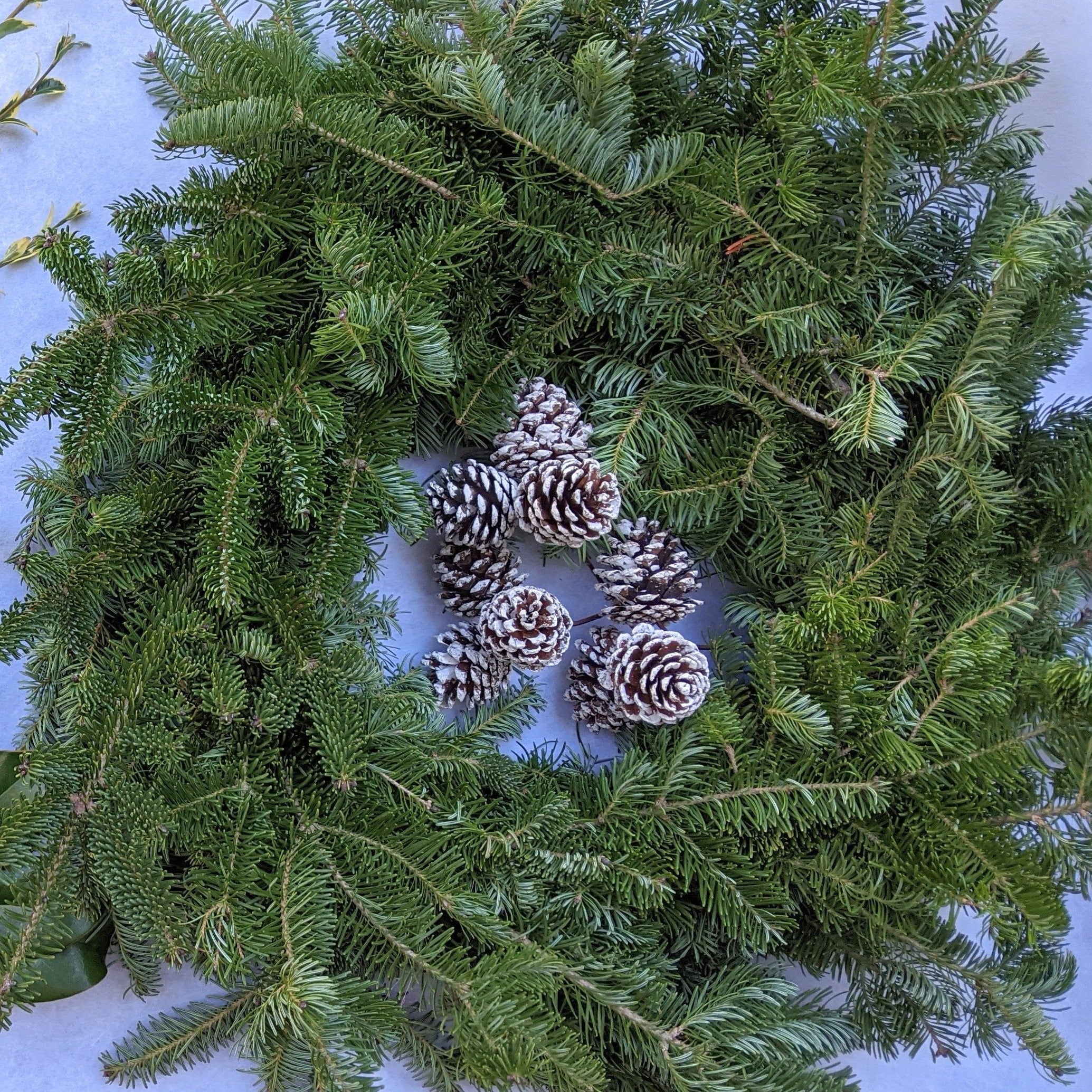 Evergreen Winter Wreath Making (Cambridge)
