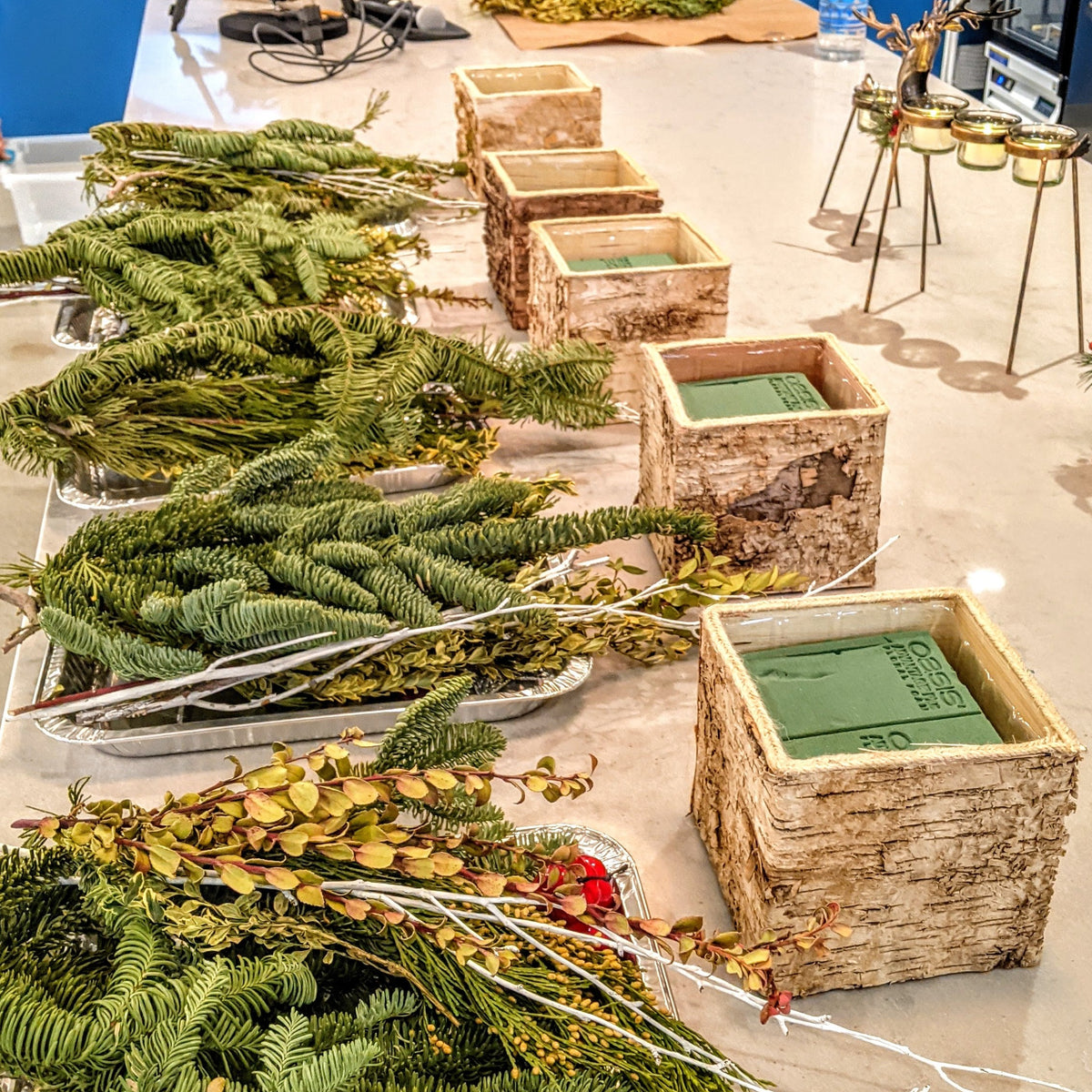 Holiday Centerpiece with Evergreen Foliage (Cambridge)