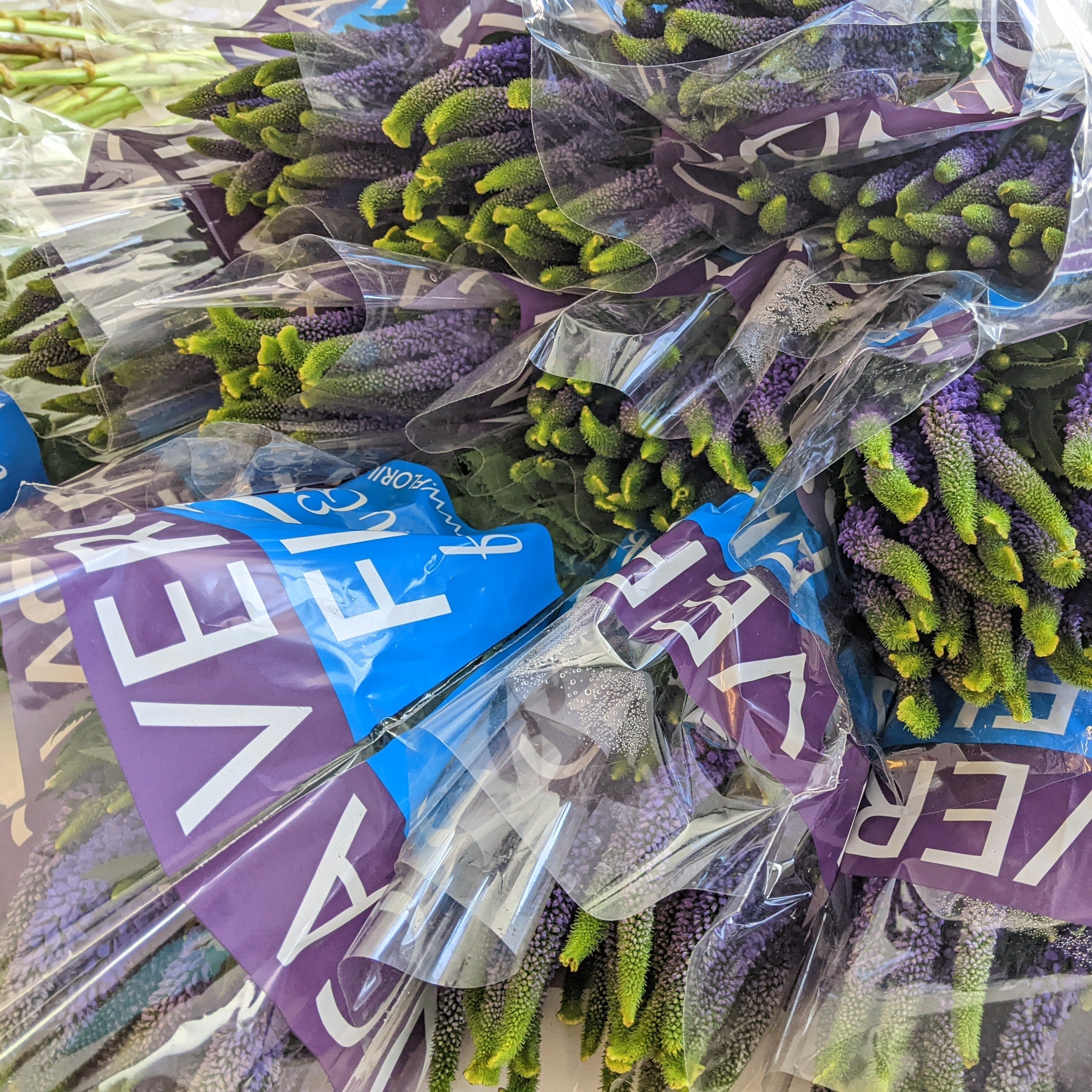 Fresh Floral Arrangement Workshop (Cambridge)