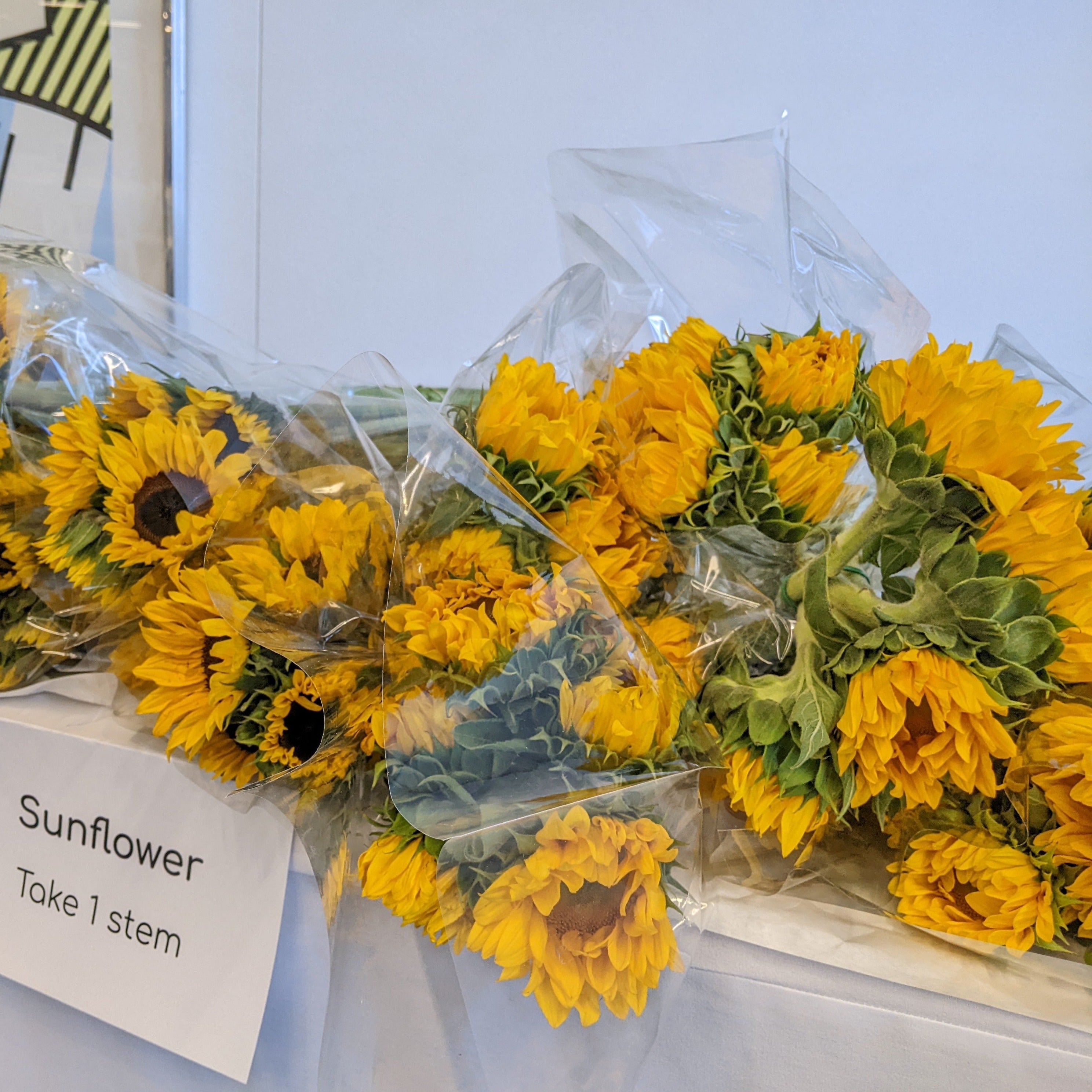 Fresh Floral Arrangement Workshop (Cambridge)