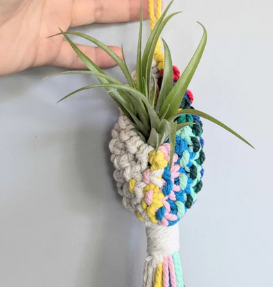 Colorful macrame air plant pod