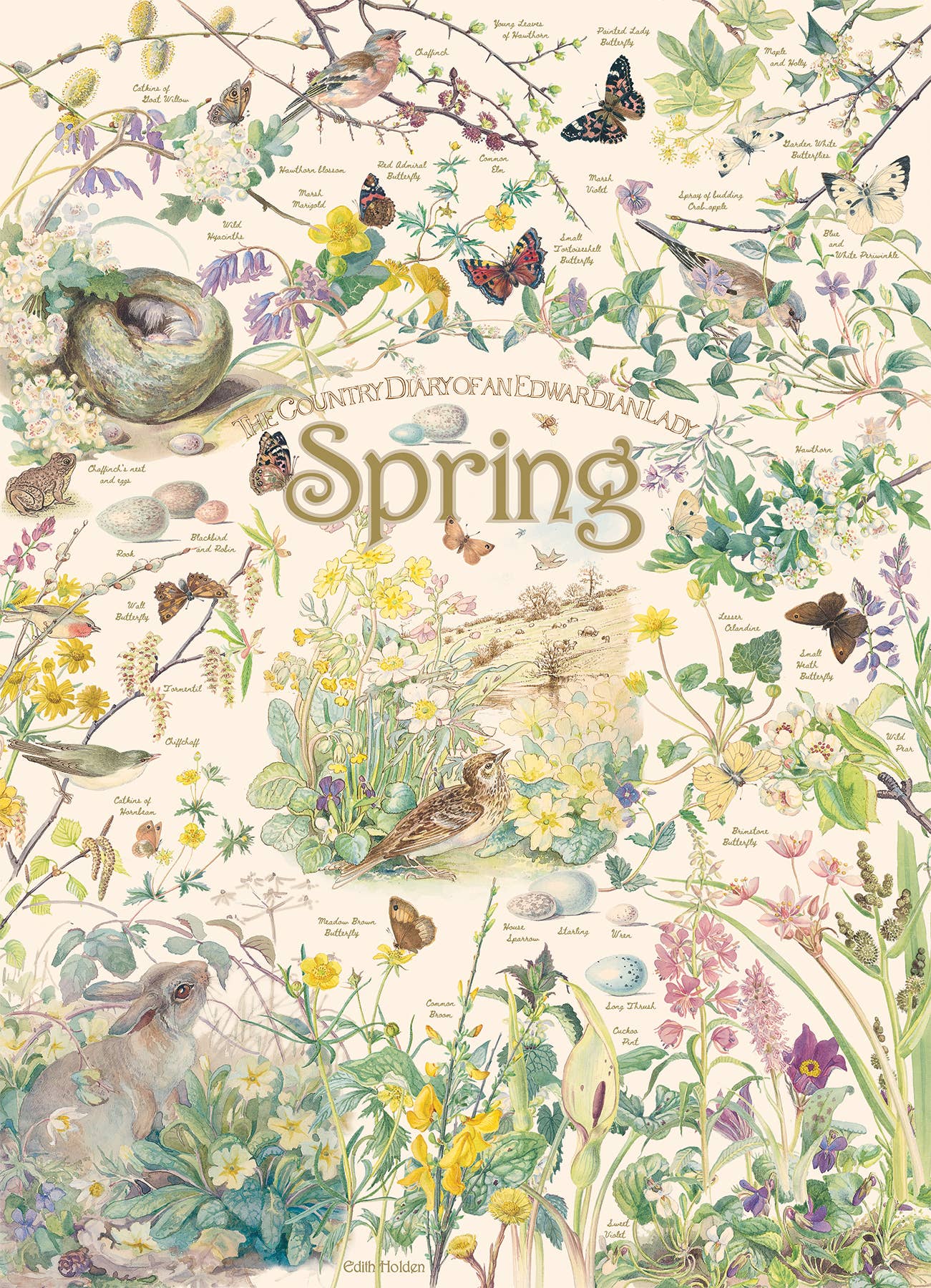 Country Diary: Spring 1000pc puzzle