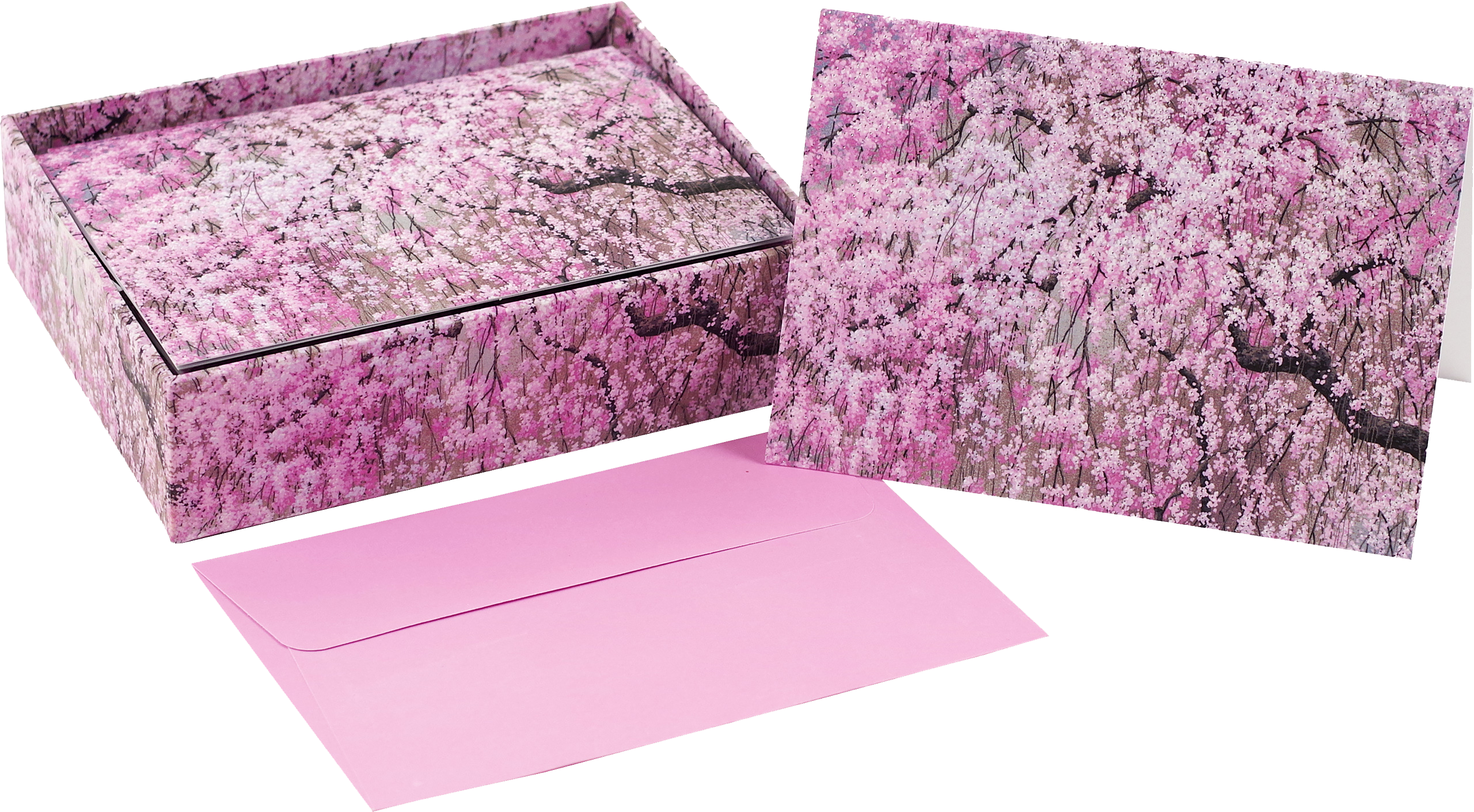 Cherry Blossoms Note Cards