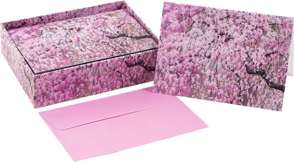 Cherry Blossoms Note Cards