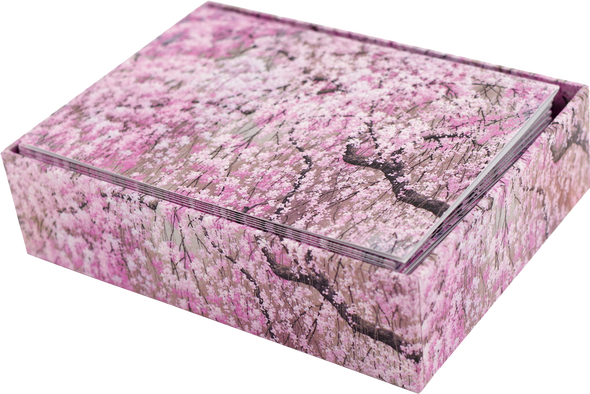 Cherry Blossoms Note Cards