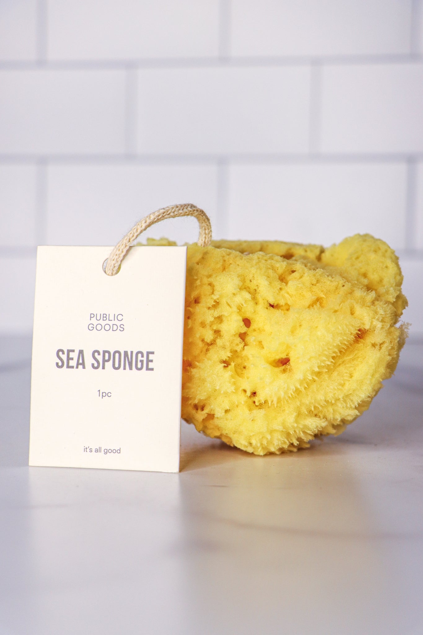 Sea Sponge