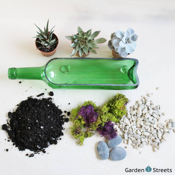 Succulent Planting Workshop (Cambridge)