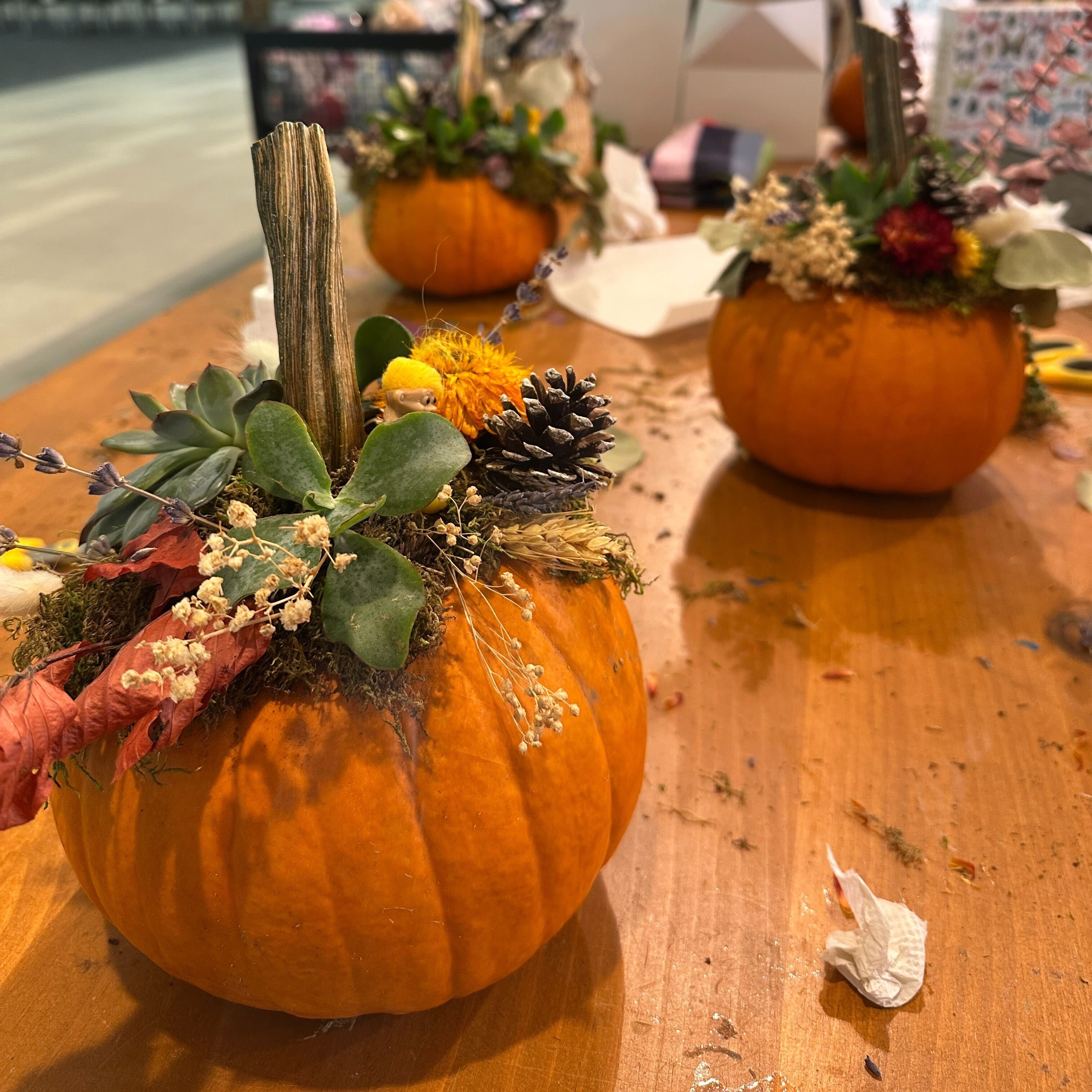 Pumpkin Succulent Centerpieces Workshop (Cambridge)
