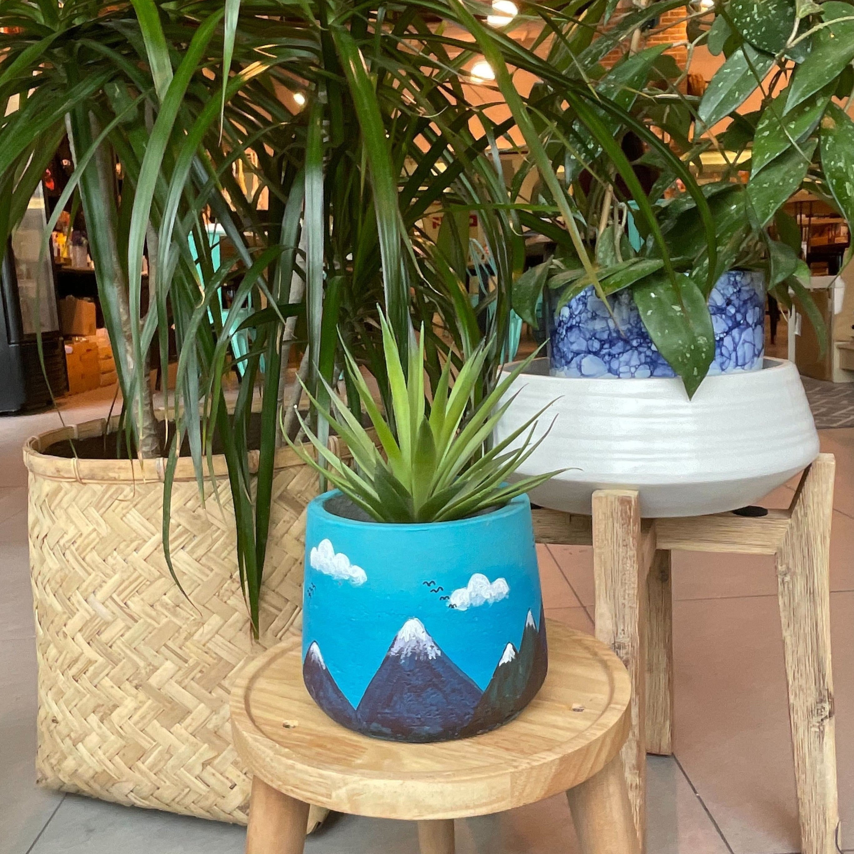 Paint and Plant Workshop