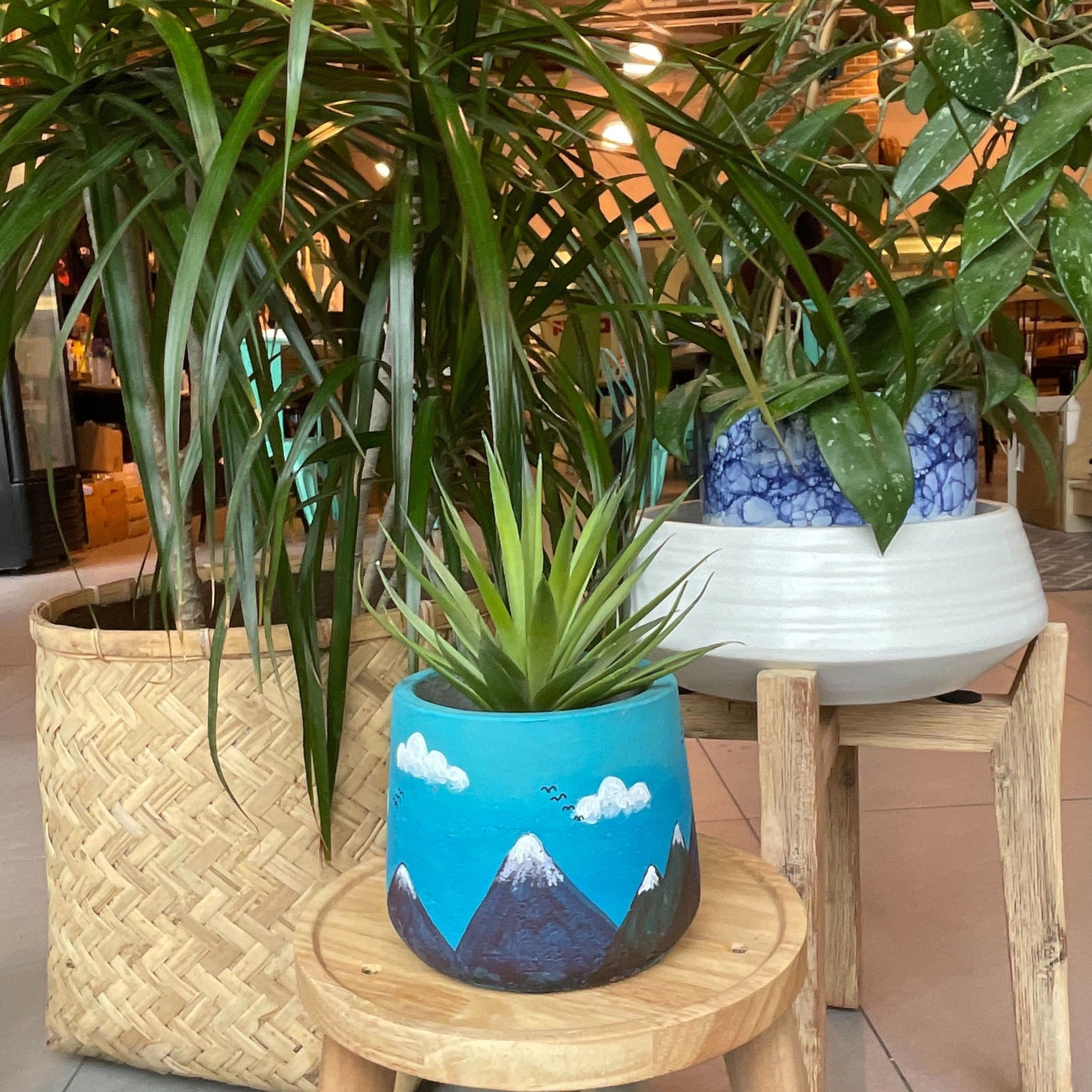 Craft + Sip: Plant Pot Painting at CanalSide Food + Drink