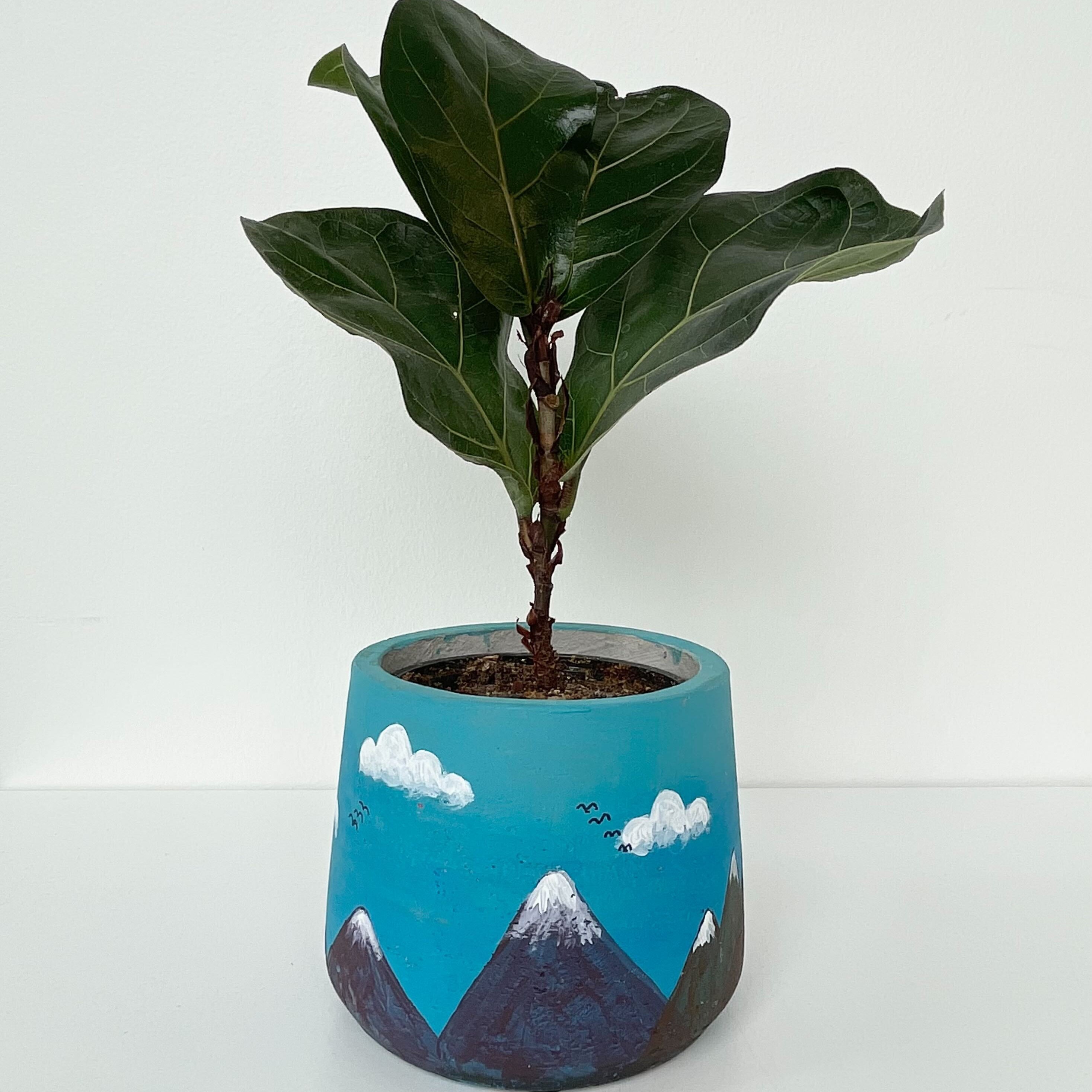 Paint and Plant Workshop