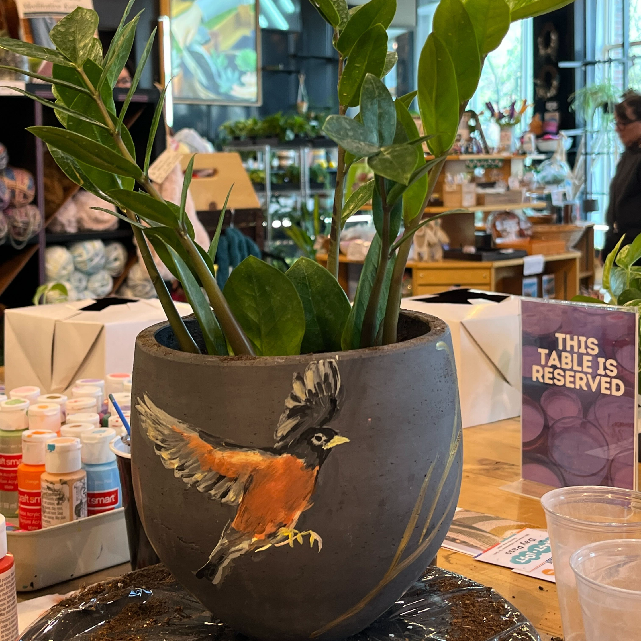 Paint and Plant Workshop