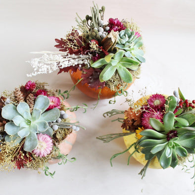 Succulent Pumpkin Centerpieces Workshop - Cambridge