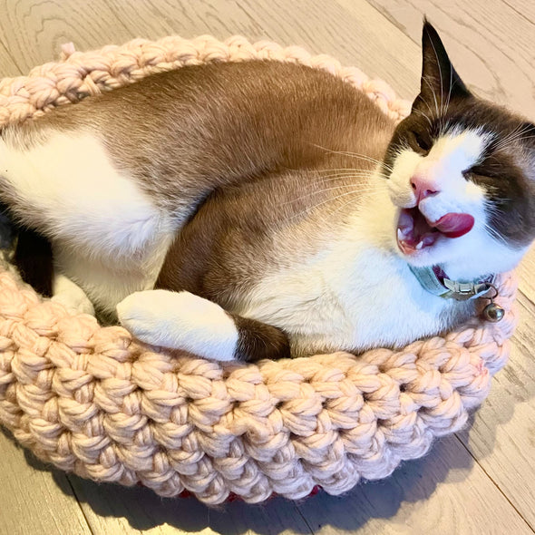 Crochet a Pet Bed (Cambridge)