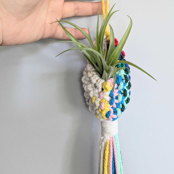 Macramé Air Plant Pod Workshop (Cambridge)