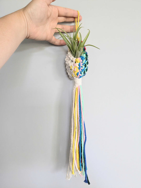 Macramé Air Plant Pod Workshop (Cambridge)