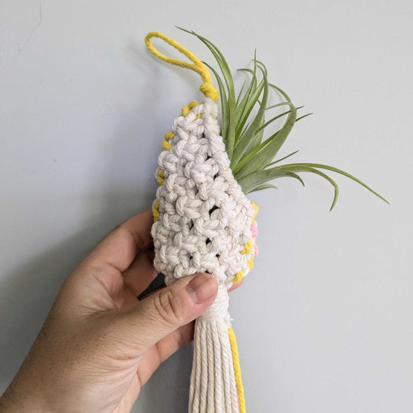 Macramé Air Plant Pod Workshop (Cambridge)