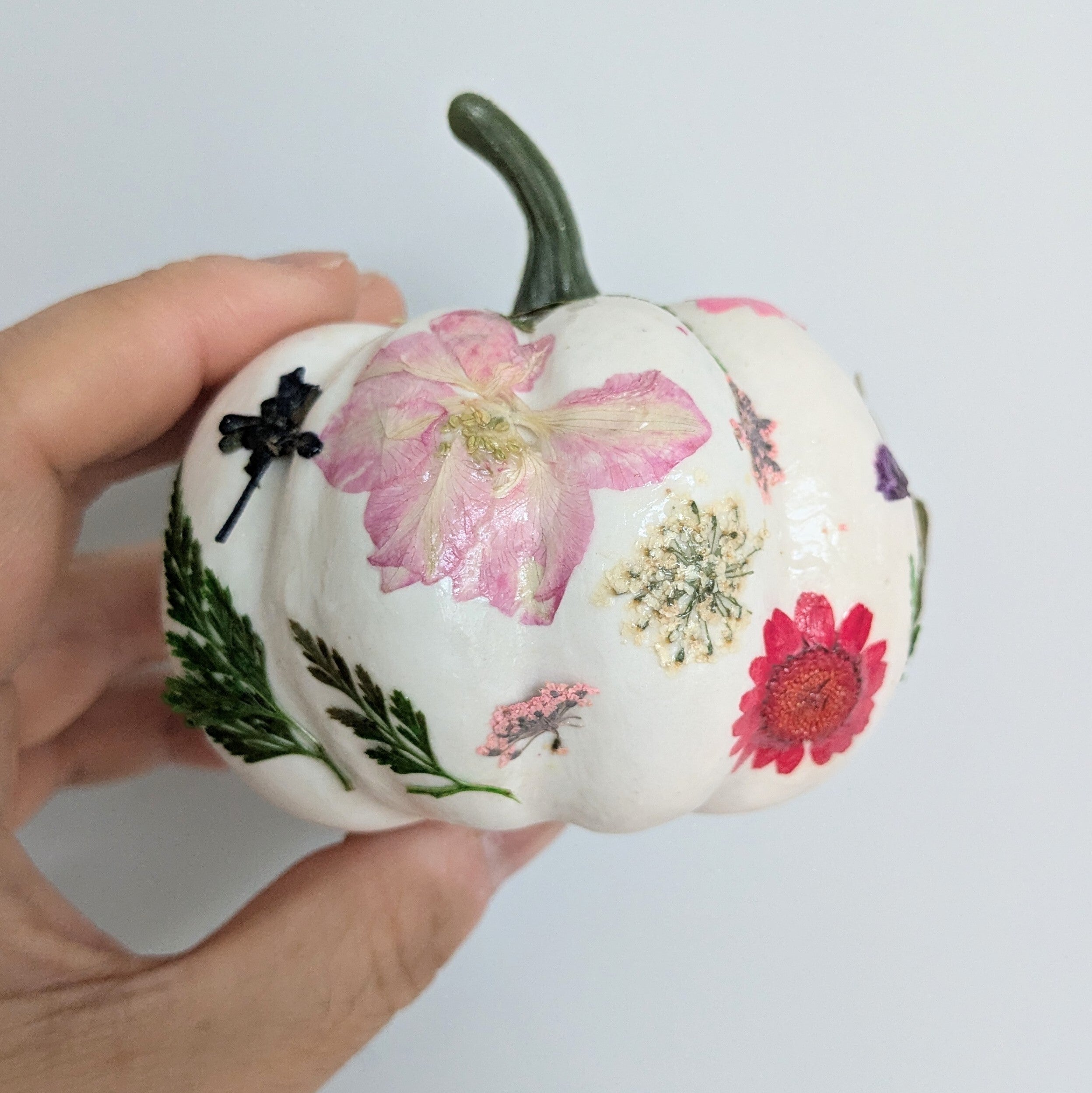 Pressed Floral Mini Pumpkins (Cambridge)