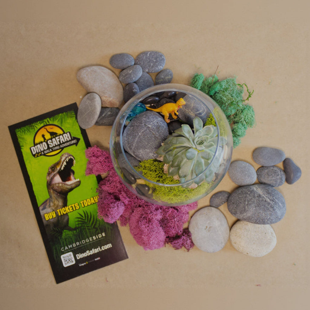 Calling All Dino Fans! (Cambridge)