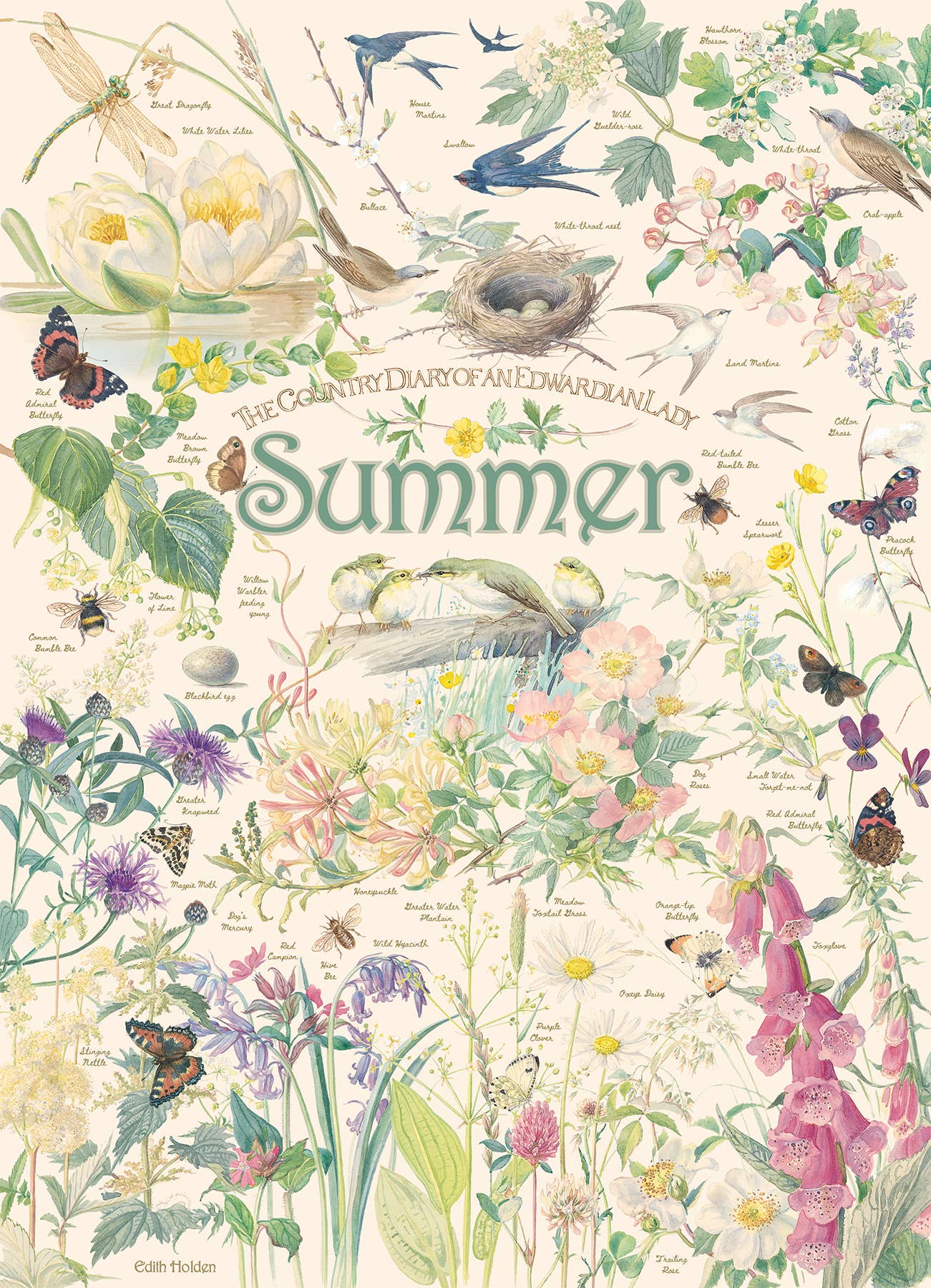 Country Diary: Summer 1000pc puzzle