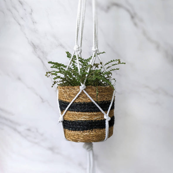 Luxe Decor Craft Kit - Macrame Hanging Planters