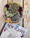 Succulent Terrarium Kit-Garden Streets