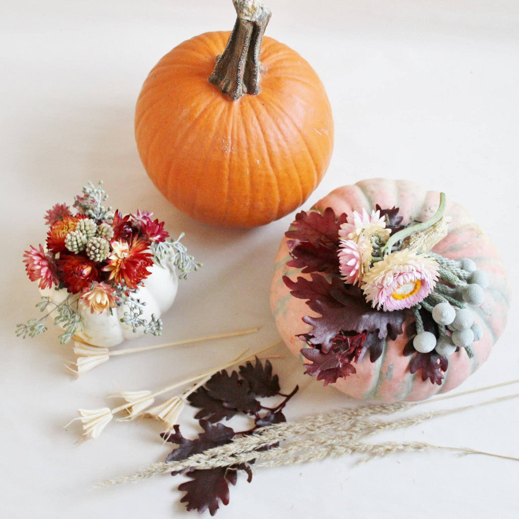 Pumpkin Succulent Centerpieces Workshop (Cambridge)