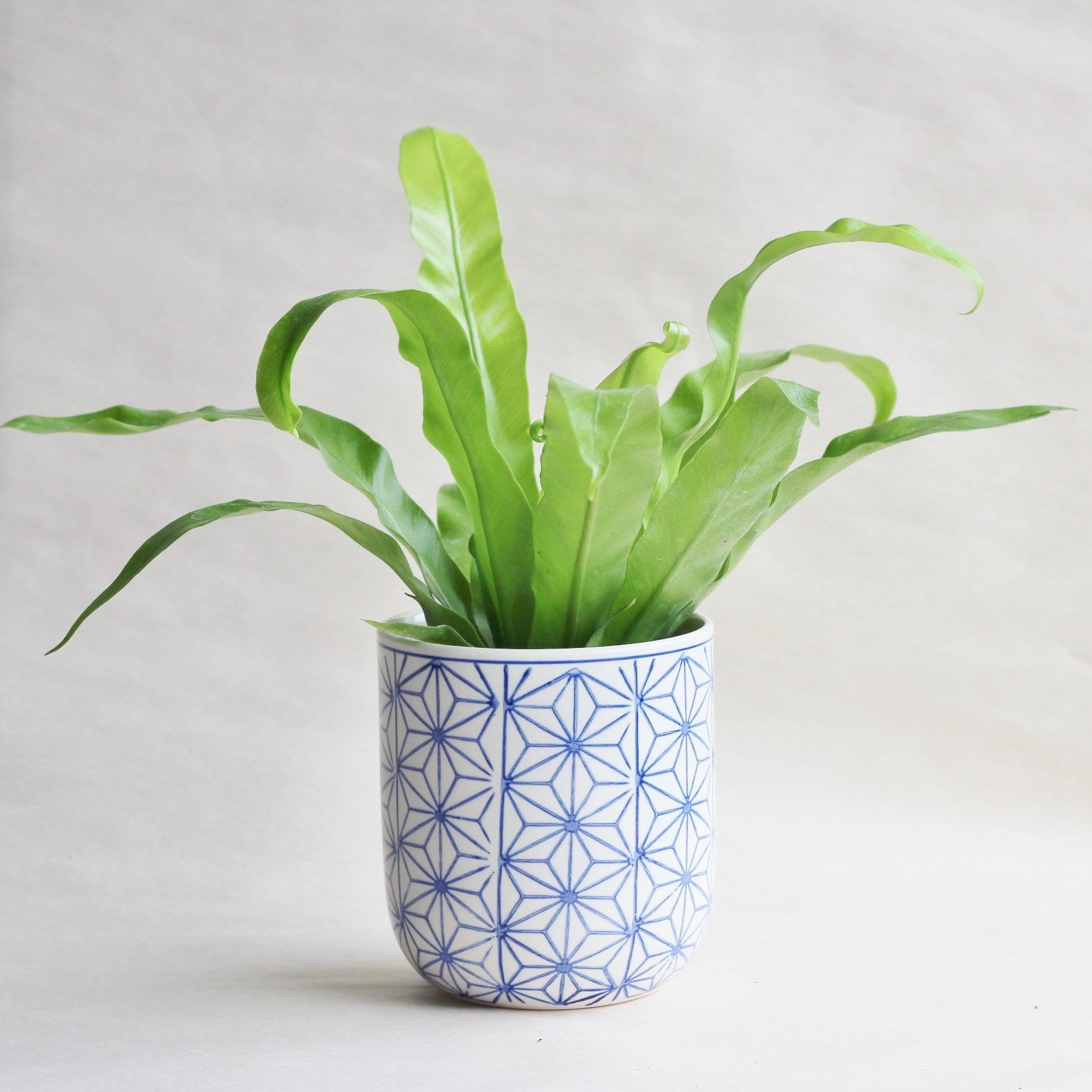 Blue and White Ceramic Pot-Garden Streets