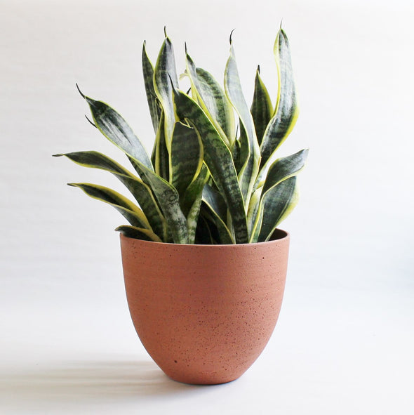 Terracotta Sandstone Vase Pot-Garden Streets