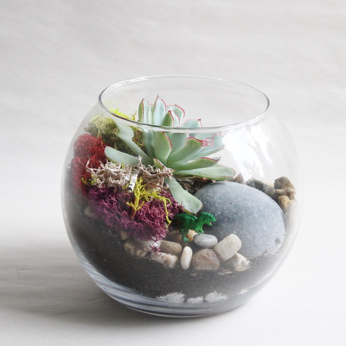 Succulent Terrarium Kit-Garden Streets