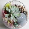 Succulent Terrarium Kit-Garden Streets