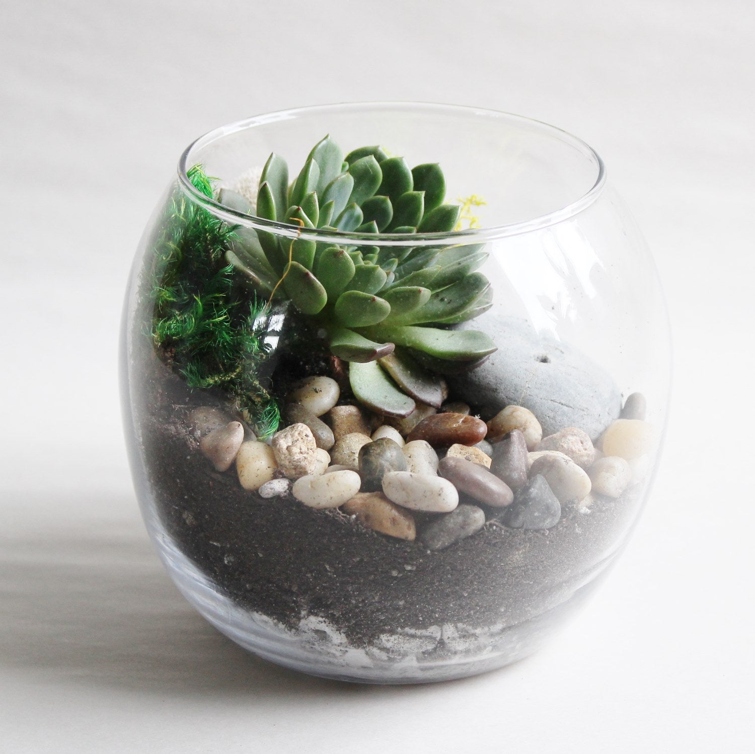 Succulent Terrarium Kit-Garden Streets