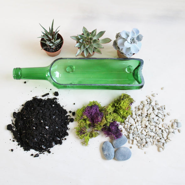 Wine Bottle Planter Kit (via Sendoso)-Garden Streets