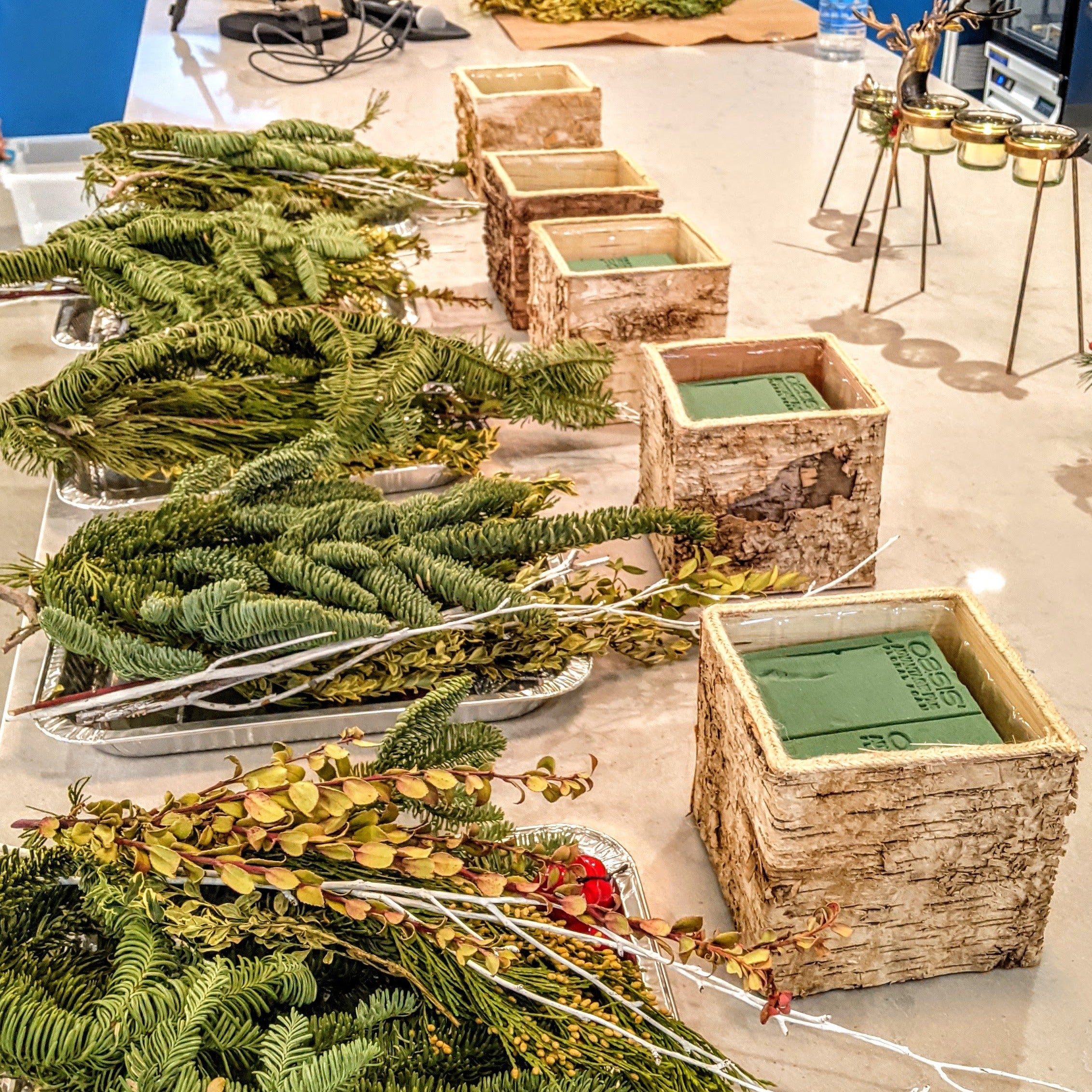 Holiday Centerpiece with Evergreen Foliage Workshop (Cambridge)