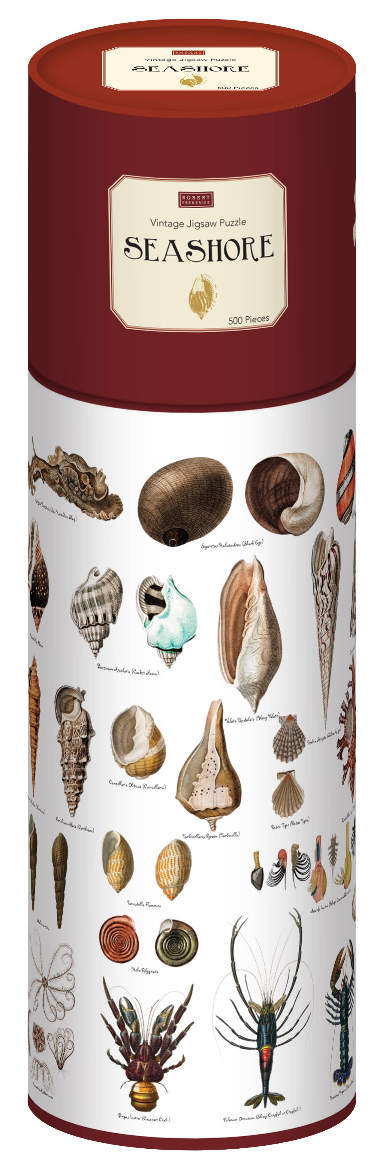 500 Piece Jigsaw in a Tube - Seashells